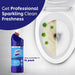 Domex Disinfectant Toilet Bowl Cleaner 1L